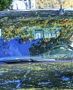 Filename=3.jpg
Filesize=496KiB
Dimensions=962x678
Date added=Nov 23, 2019 3.jpg