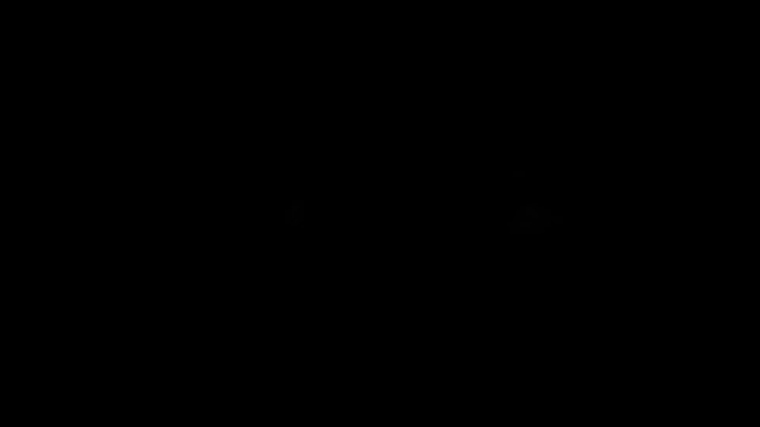 124.jpg