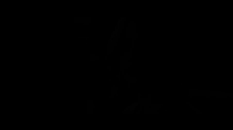 175.jpg
