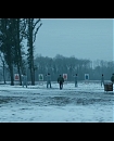 Filename=38.jpg
Filesize=322KiB
Dimensions=1920x1080
Date added=Feb 10, 2018 38.jpg