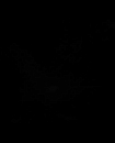 Filename=76.jpg
Filesize=13KiB
Dimensions=1920x1080
Date added=Jan 19, 2018 76.jpg