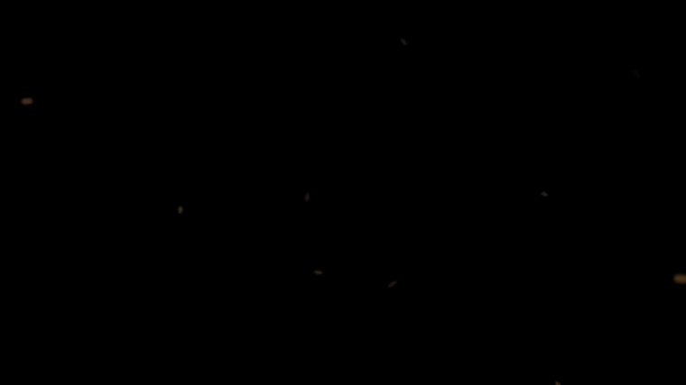 254.jpg