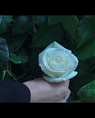 Filename=53.jpg
Filesize=194KiB
Dimensions=1920x1080
Date added=Jan 19, 2018 53.jpg
