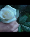 Filename=56.jpg
Filesize=188KiB
Dimensions=1920x1080
Date added=Jan 19, 2018 56.jpg