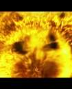 Filename=312.jpg
Filesize=234KiB
Dimensions=1920x1080
Date added=Jan 19, 2018 312.jpg