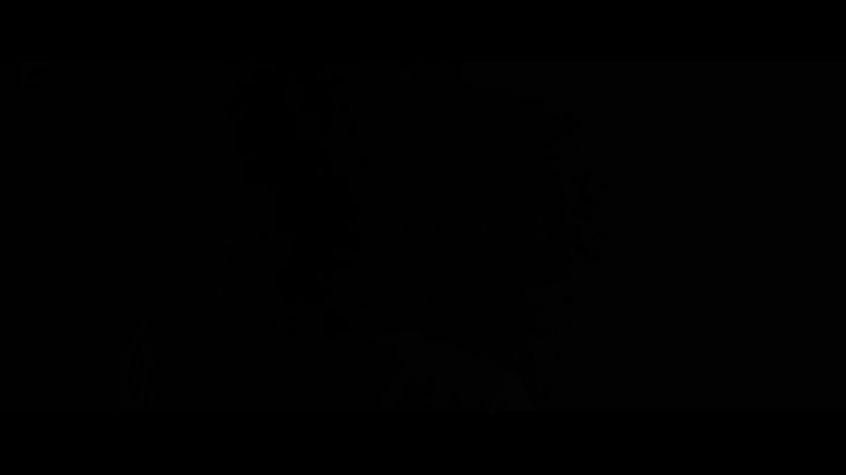 45.png
