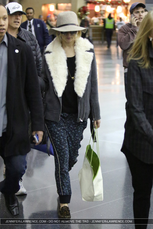 December_14_-_Arriving_at_JFK_Airport_in_New_York_281129.jpg