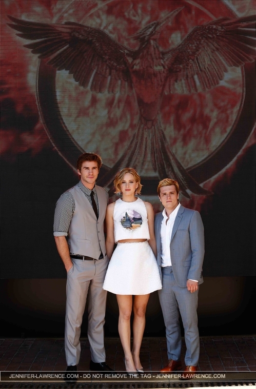 GROUP_May_17_-__Mockingjay_Part_1__photocall_at_Cannes_in_France_286129.JPG