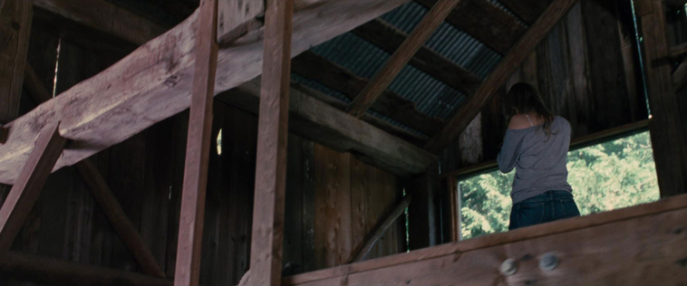 House_at_the_End_of_the_Street__28129829.jpg