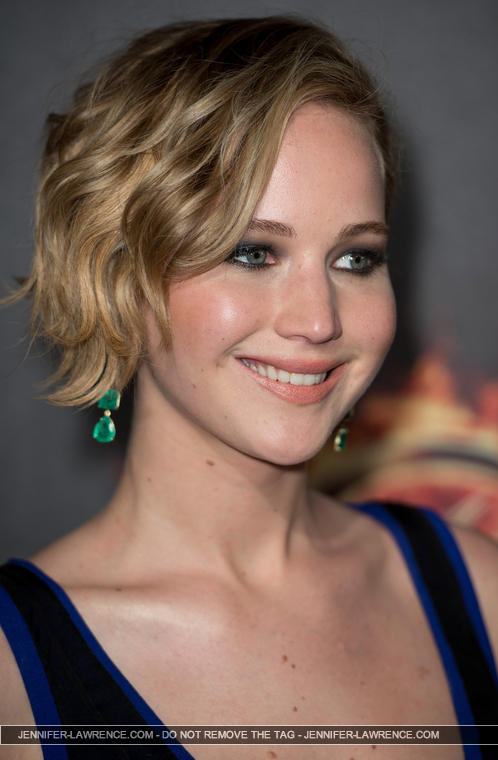 May_17_-__The_Hunger_Games_Mockingjay_Part_1__party_in_Cannes__28529.jpg