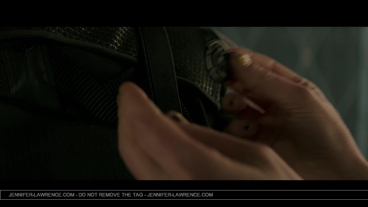 Mockingjay_Trailer_2821529.jpg