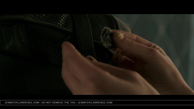 Mockingjay_Trailer_2821629.jpg