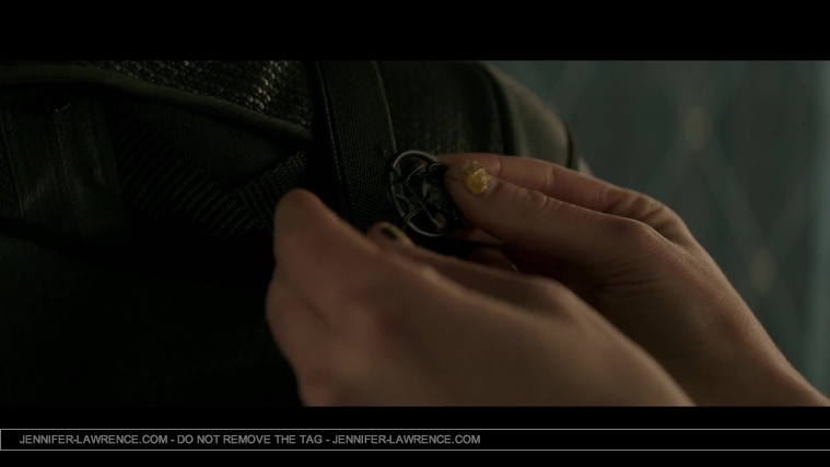 Mockingjay_Trailer_2821729.jpg