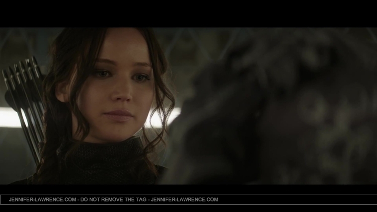 Mockingjay_Trailer_2822229.jpg