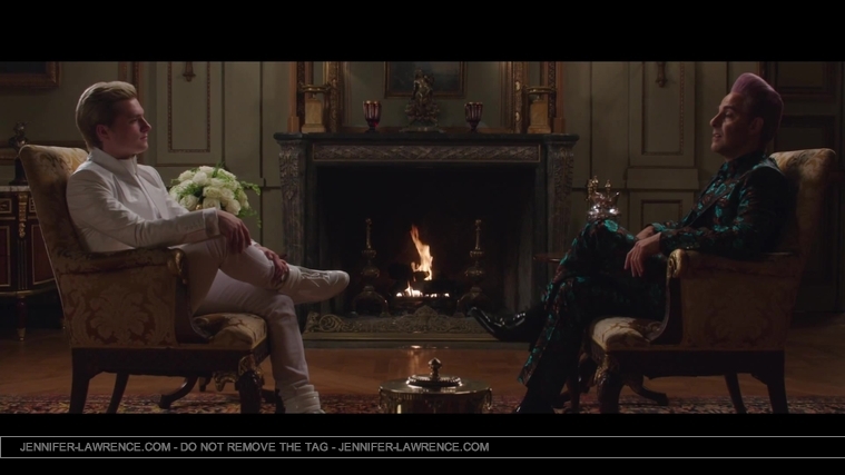 Mockingjay_Trailer_2841829.jpg