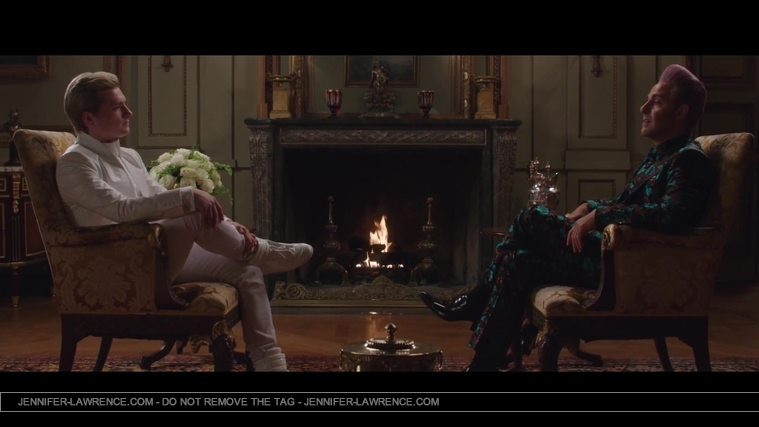 Mockingjay_Trailer_2841929.jpg