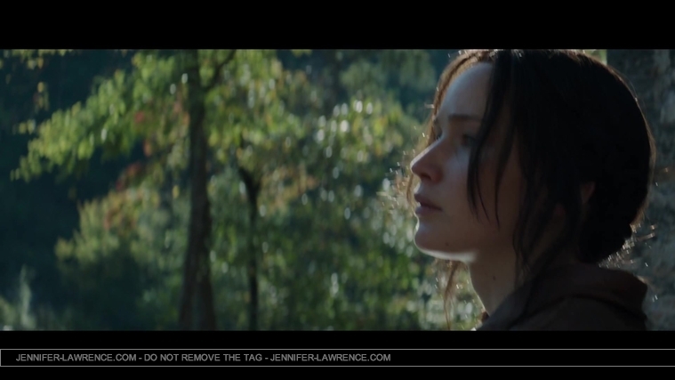 Mockingjay_Trailer_2845129.jpg