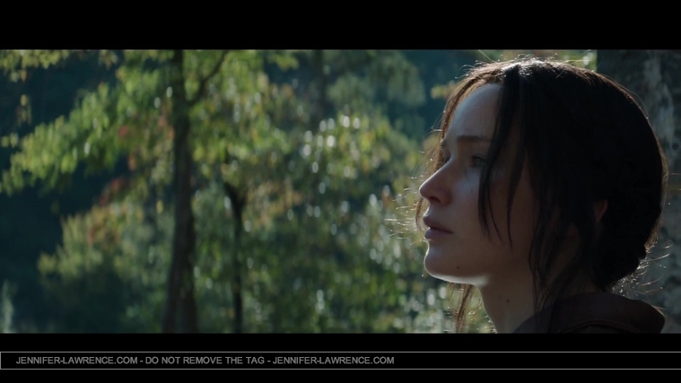 Mockingjay_Trailer_2845429.jpg