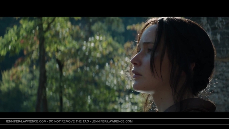 Mockingjay_Trailer_2846229.jpg