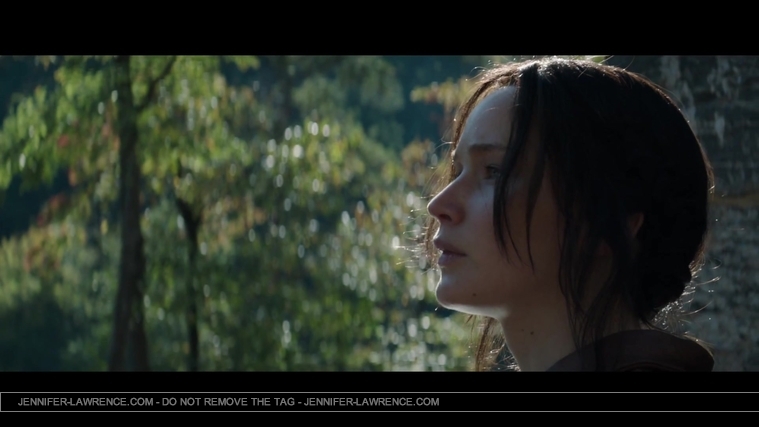 Mockingjay_Trailer_2846329.jpg