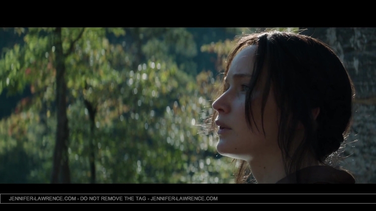 Mockingjay_Trailer_2846529.jpg