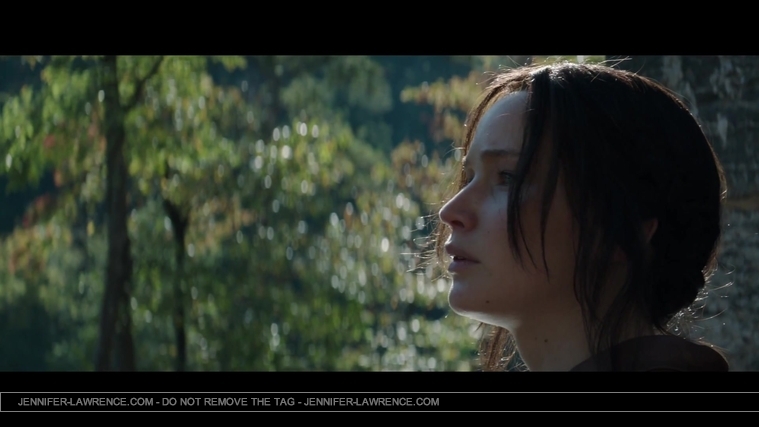 Mockingjay_Trailer_2847029.jpg