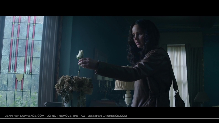 Mockingjay_Trailer_2858529.jpg