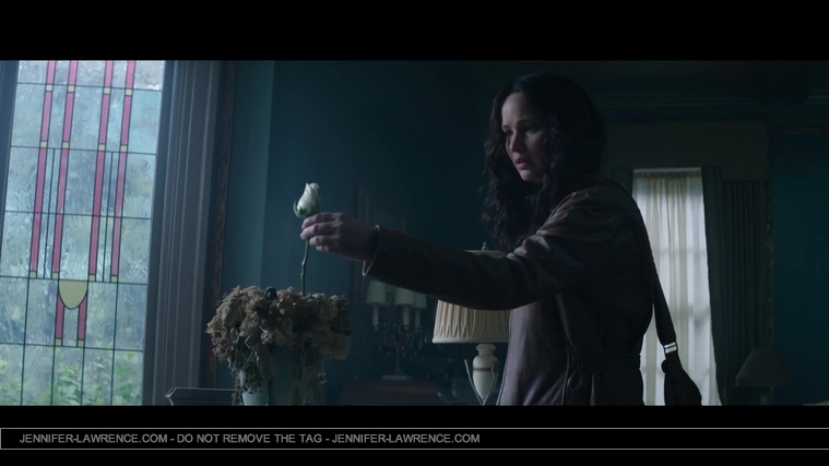 Mockingjay_Trailer_2858829.jpg