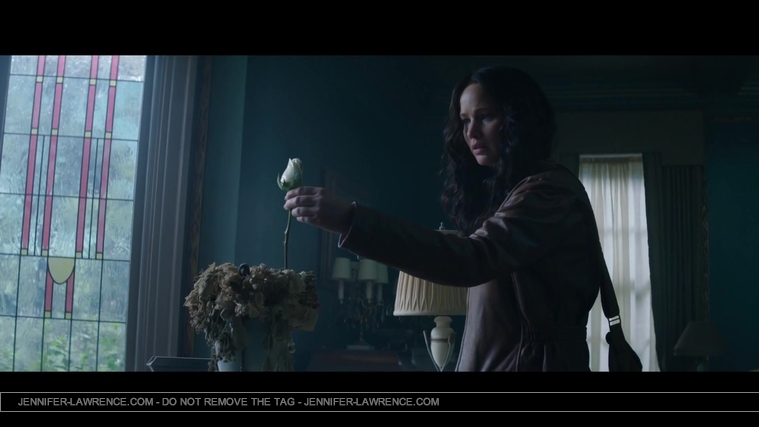 Mockingjay_Trailer_2859429.jpg