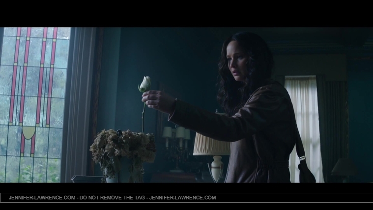 Mockingjay_Trailer_2859829.jpg