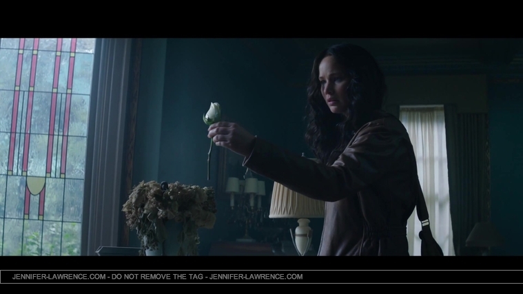 Mockingjay_Trailer_2860629.jpg