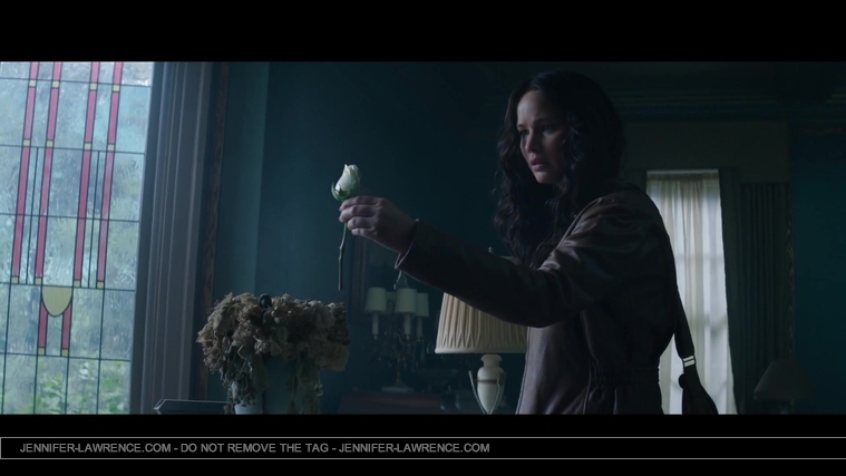 Mockingjay_Trailer_2860829.jpg