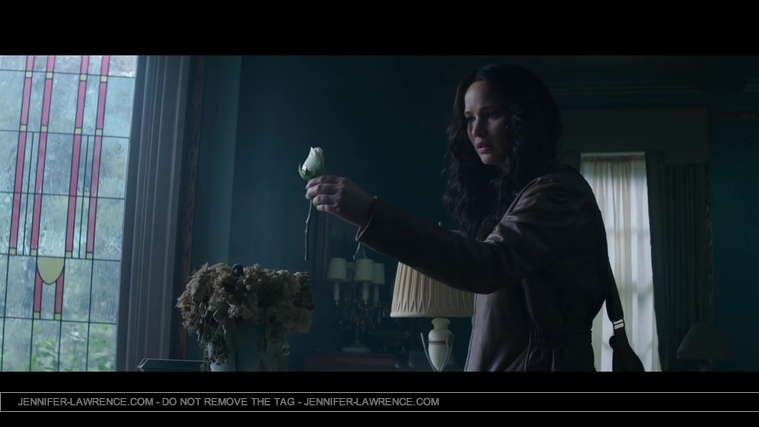 Mockingjay_Trailer_2860929.jpg