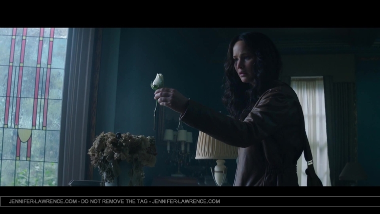 Mockingjay_Trailer_2861129.jpg