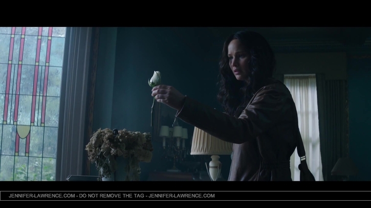 Mockingjay_Trailer_2861329.jpg