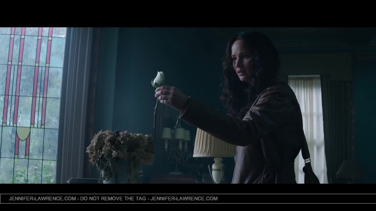 Mockingjay_Trailer_2861529.jpg