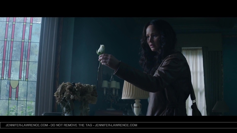 Mockingjay_Trailer_2861729.jpg