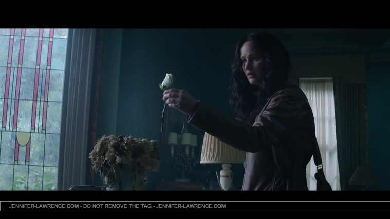 Mockingjay_Trailer_2861829.jpg