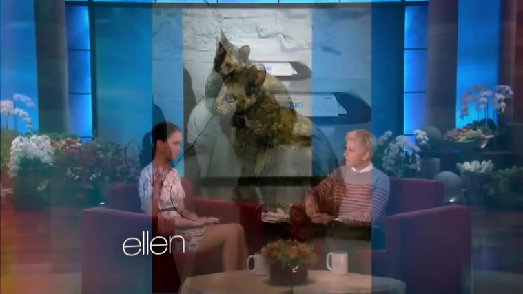November_212C_2012_-__The_Ellen_DeGeneres_Show_28119729.jpg