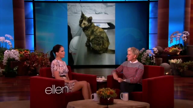 November_212C_2012_-__The_Ellen_DeGeneres_Show_28120029.jpg