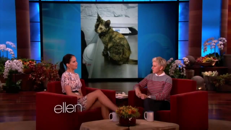 November_212C_2012_-__The_Ellen_DeGeneres_Show_28120129.jpg