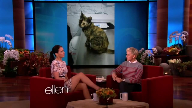 November_212C_2012_-__The_Ellen_DeGeneres_Show_28120229.jpg