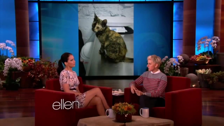 November_212C_2012_-__The_Ellen_DeGeneres_Show_28120329.jpg