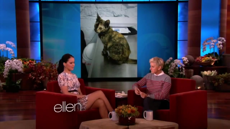 November_212C_2012_-__The_Ellen_DeGeneres_Show_28120729.jpg