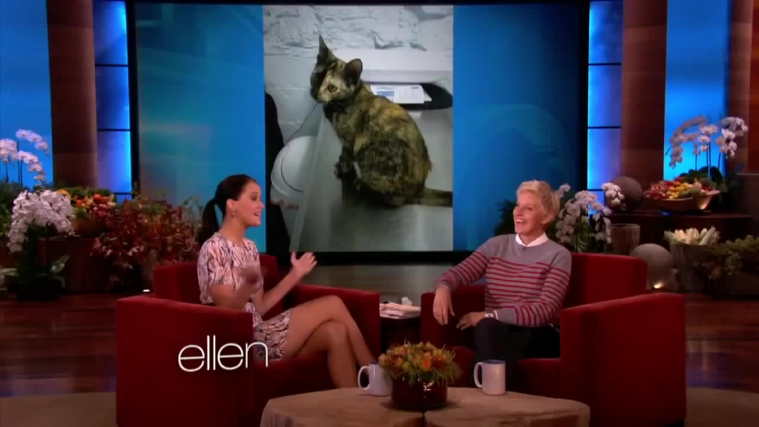 November_212C_2012_-__The_Ellen_DeGeneres_Show_28125929.jpg