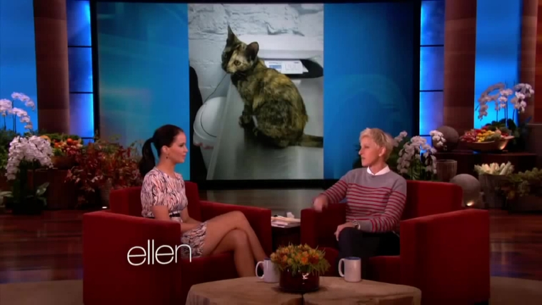 November_212C_2012_-__The_Ellen_DeGeneres_Show_28128829.jpg