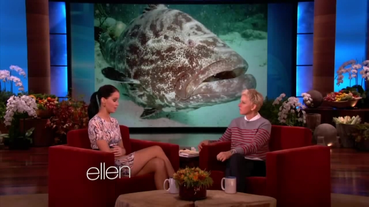 November_212C_2012_-__The_Ellen_DeGeneres_Show_2862929.jpg