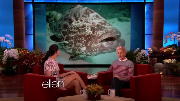 November_212C_2012_-__The_Ellen_DeGeneres_Show_2872429.jpg