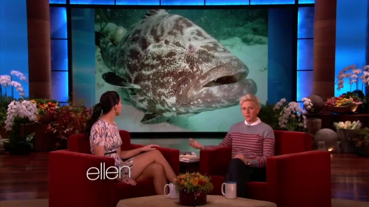 November_212C_2012_-__The_Ellen_DeGeneres_Show_2872729.jpg