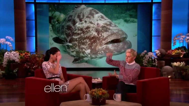 November_212C_2012_-__The_Ellen_DeGeneres_Show_2880229.jpg